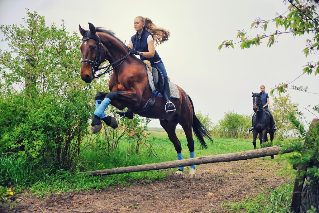Riding horses in Adairsville outdoors pirita © Shutterstock