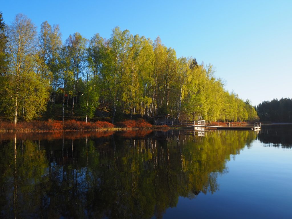 Lakeside views in Jackson Lake