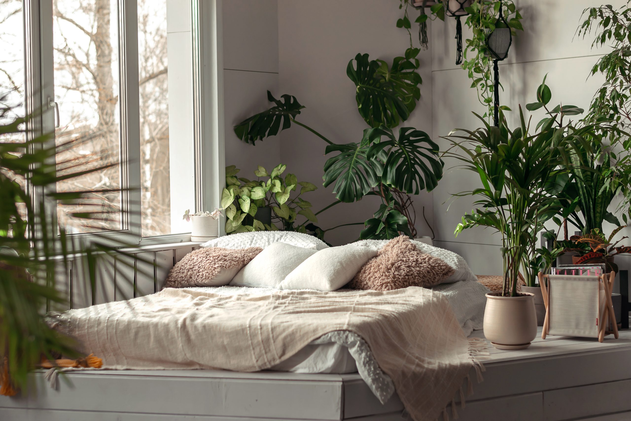 The interior of a bright bedroom with indoor plants ©buzmakovatatyana