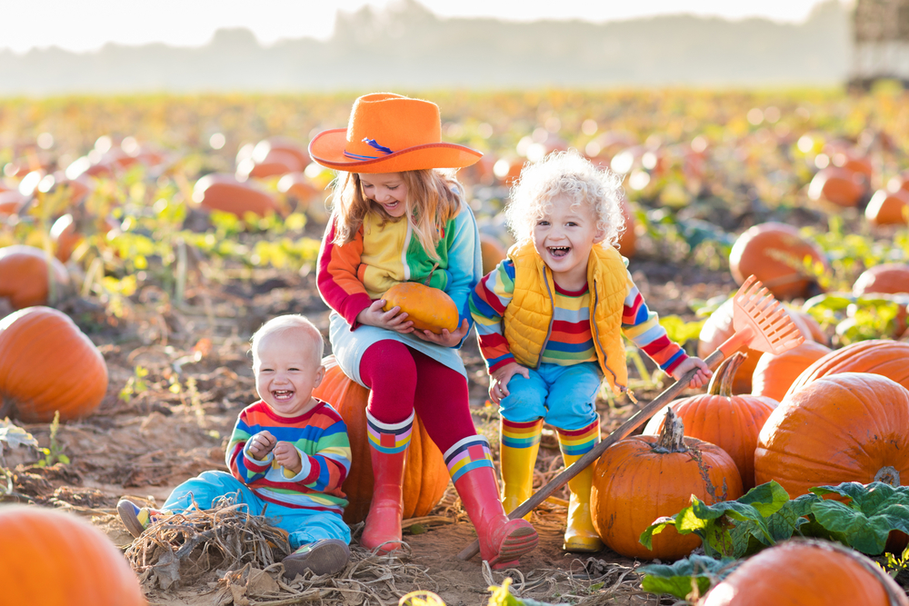 Cute-Children-in-at-Pumpkin-Patch ©FamVeld