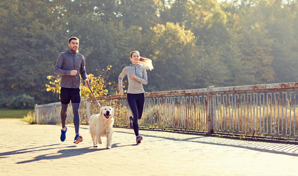 Family running with their dog lakeside ©Ground Picture