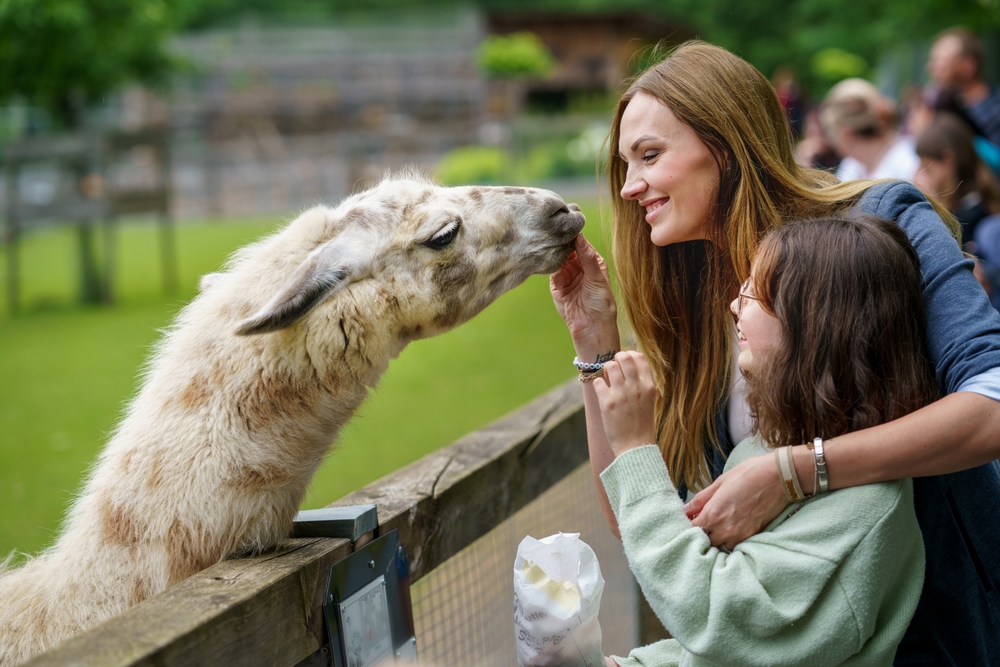 Family with Animals at Safari©Irina Wilhauk