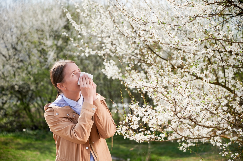 Spring allergies tree in bloom ©anatoliy_gleb