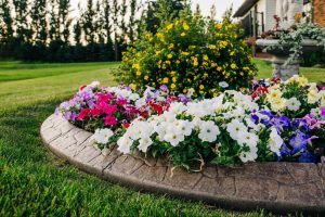 Yard with flowers blooming ©Ursula Page