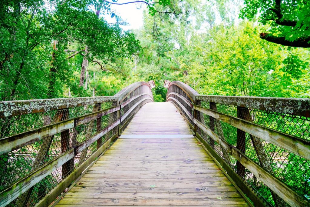 Outdoor bridge in a park ©Feng Cheng