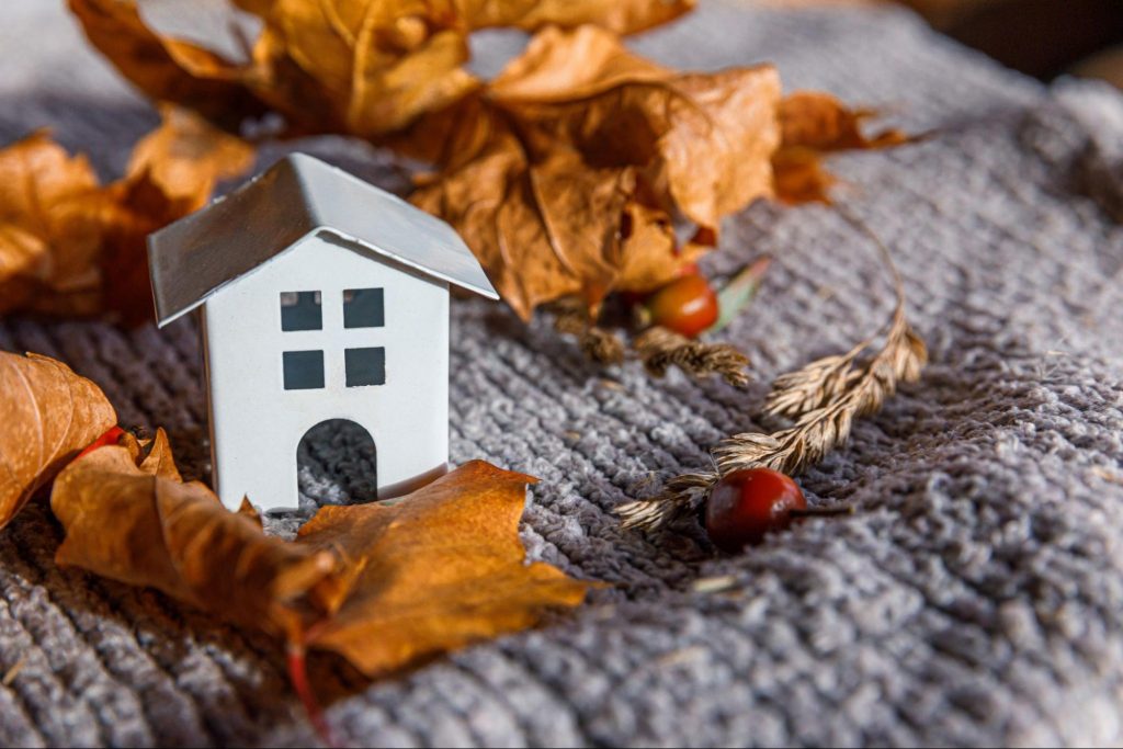 Small decorative house surrounded by autumn leaves on a cozy blanket.
©Julia Zavalishina