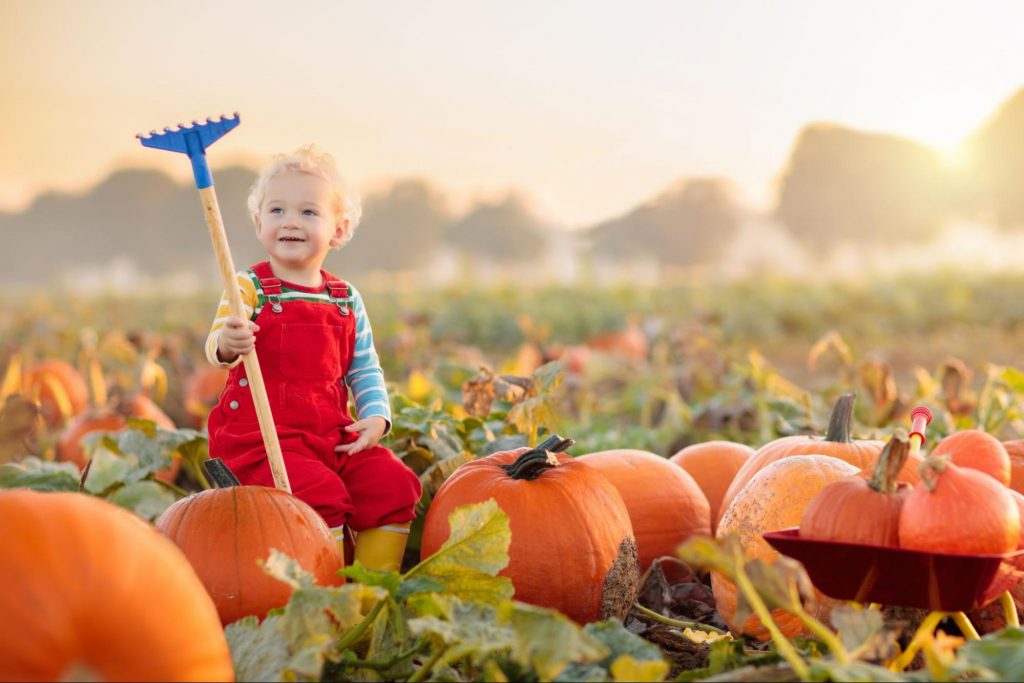Young child sitting with pumpkins at a sunny Georgia pumpkin patch
©FamVeld