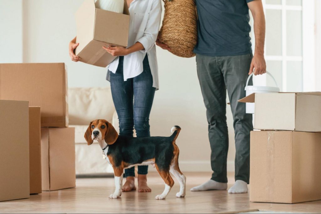 Couple moving into a new home in Villa Rica, GA, with their dog

©Standret